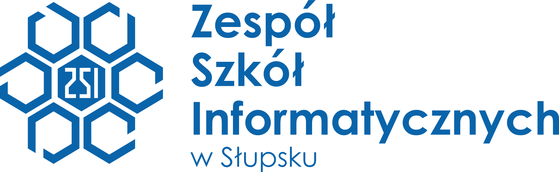 logo ZSI tekst