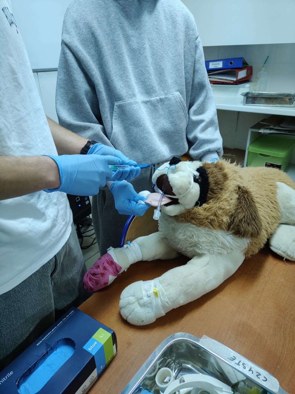 Praktyka przed praktykami